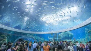 Cảnh Đẹp Nha Trang Không Thể Bỏ Qua - Taxi Nha Trang 0976541410