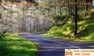 Xe Dịch Vụ Nha Trang Đi Đà Lạt Giá Rẻ - Xe Đưa Đón Đúng Giờ, Tài Xế Rành Đường