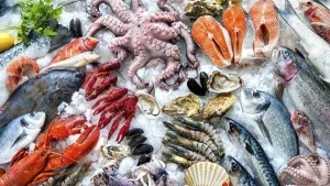 Kinh Nghiệm Du Lịch Tại Nha Trang - Các Dịch Vụ Tiện Ích Tại Nha Trang