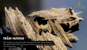 Trầm Hương Khánh Hoà - Vùng Đất Nhiều Khoáng Sản Thiên Nhiên