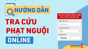 Tra Cứu Phạt Nguội Cam Ranh - Chuẩn Xác 99,9%