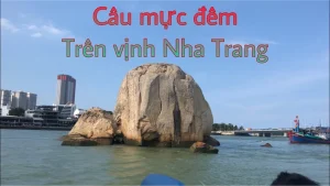 Câu Mực Đêm Nha Trang - 1 Môn Giải Trí, Du Lịch Đặc Sắc Tại Khánh Hoà Bạn Nên Thử